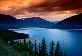 Галина Стецюк | Санкт-Петербург