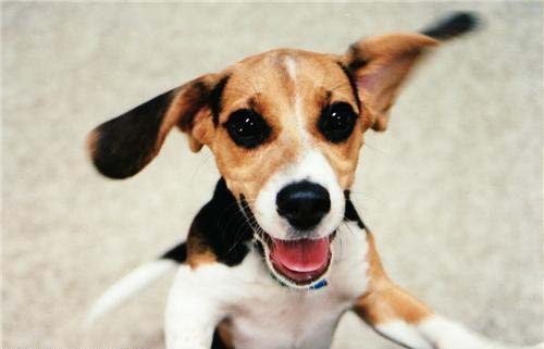 Oleg Шило [Shilo] | Санкт-Петербург