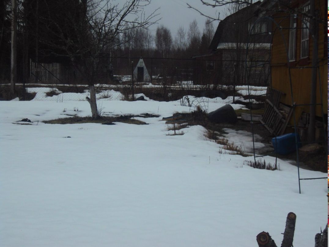 Леонид Касьянов хохол | Санкт-Петербург