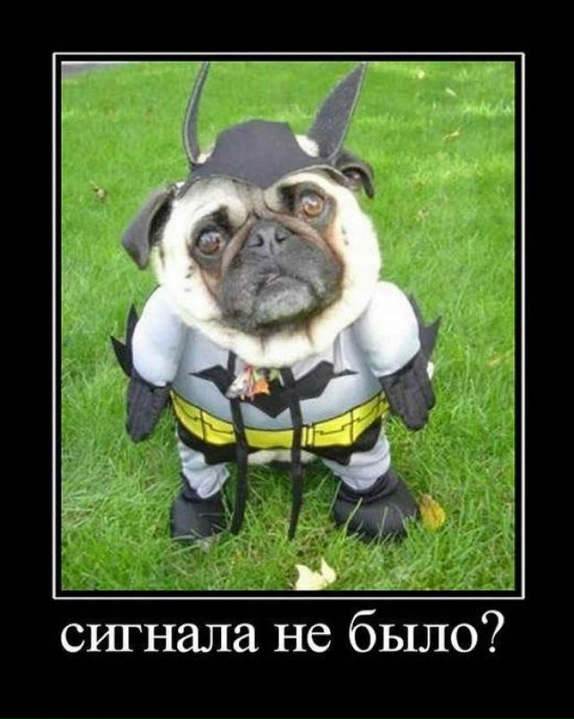 Александр Абрамов | Москва