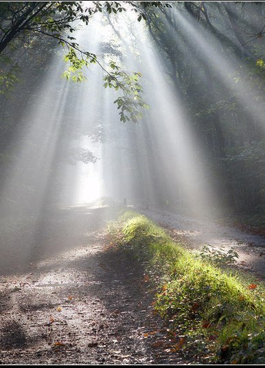 Светлана Качуровская | Воронеж