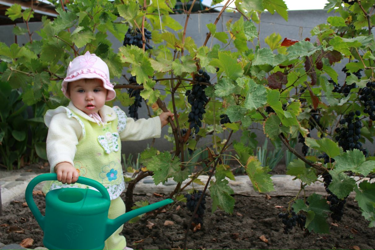 Екатерина Фальченко | Калининград