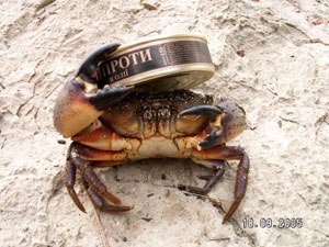 Андрей Рожков | Санкт-Петербург