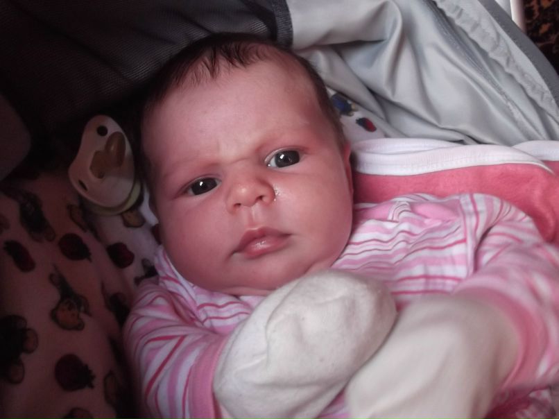 Qetusha Qetusha | Тбилиси