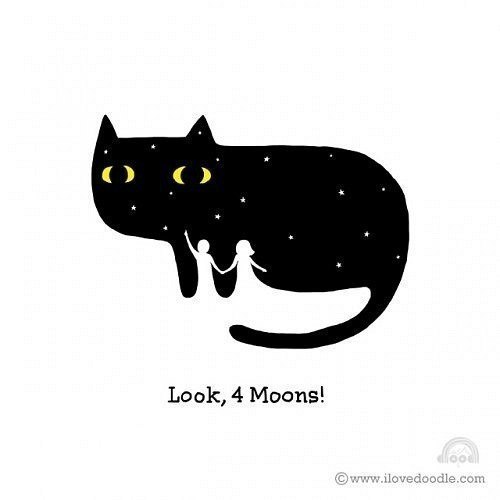 №62, Аня Гудзева, Новосибирск №62, Аня Гудзева, Новосибирск