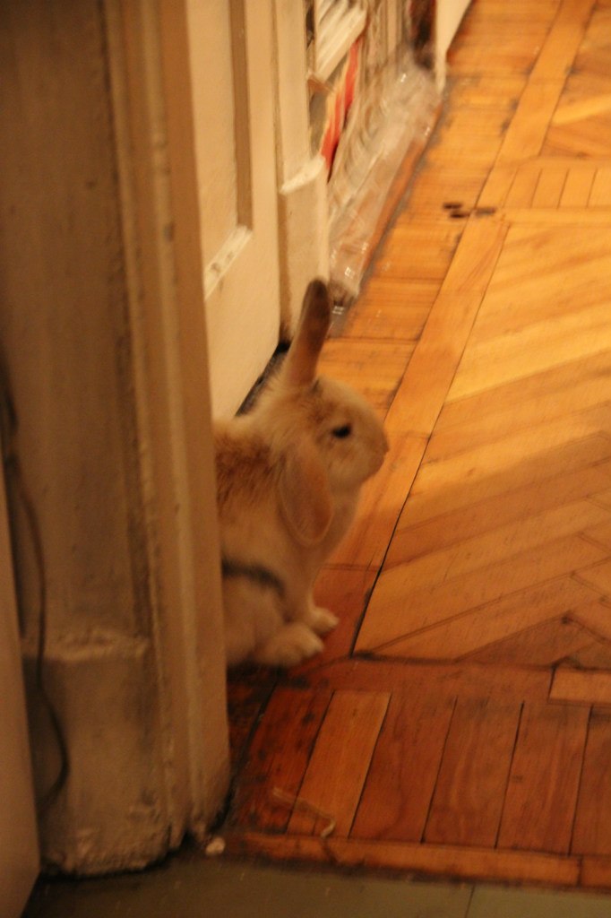 Константин Тарадыменко | Санкт-Петербург