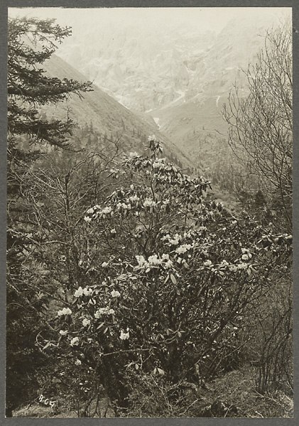 Анна Ярмош | Москва