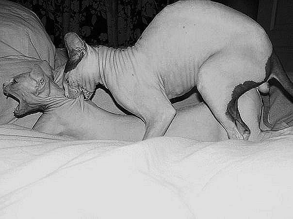 Анна Романова | Самара