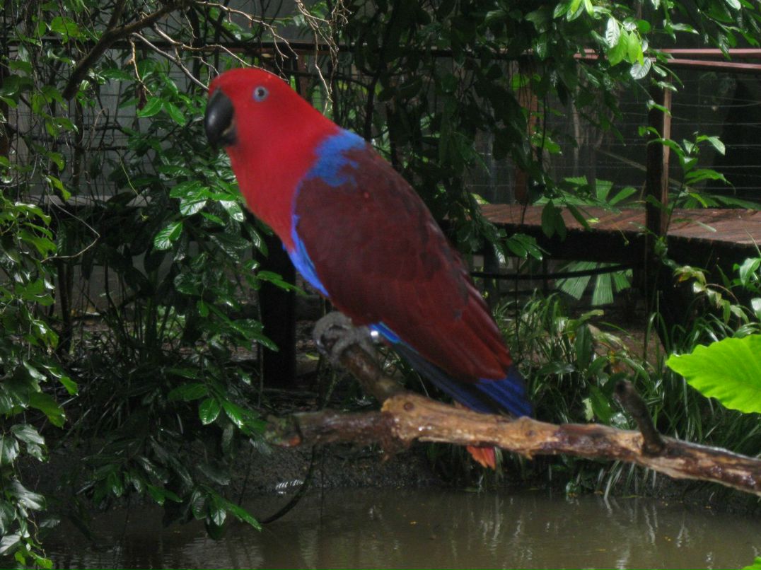 Галина Гвоздь | Кировск