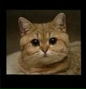 Фотография Алексей Коршун