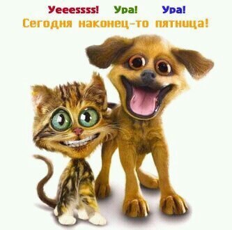 Олег Гурков | Рогачев