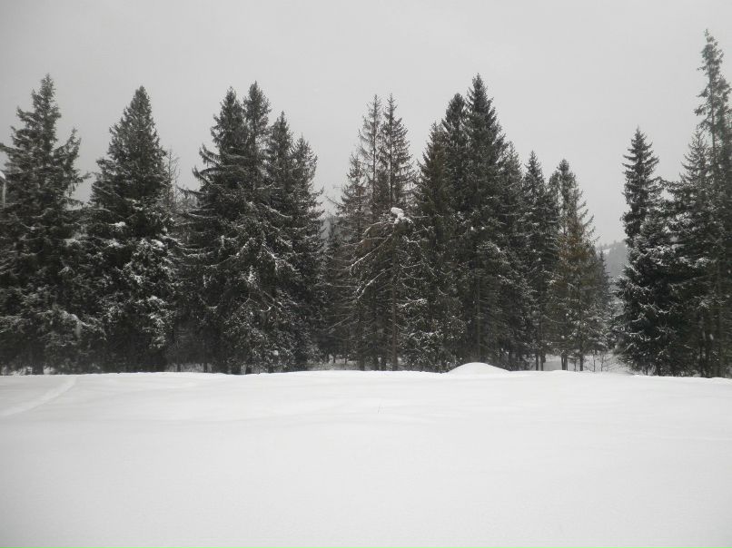 Руслан Пилипчук | Киев