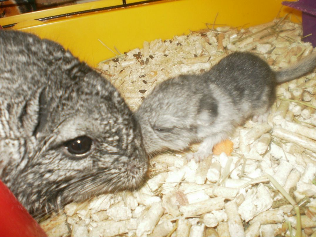 Марина Хромова ☜♡☞ | Гаврилов-Ям