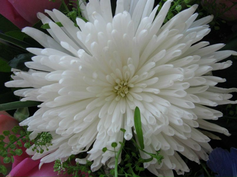 Елена Митюкова | Москва