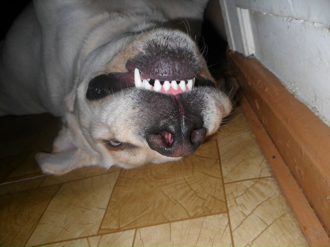 Оксана Клевцова николаевна | 