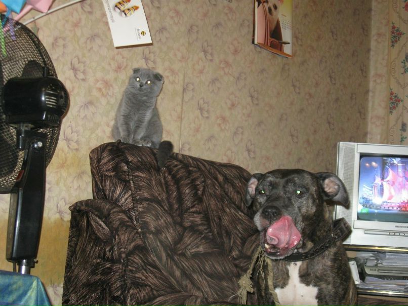 Алёна Шилова | Москва