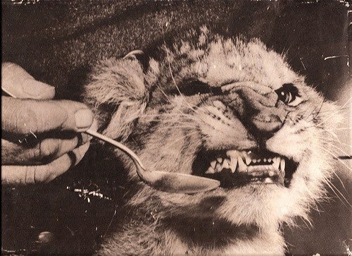 Алёна Гуд | Москва