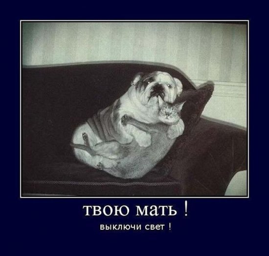 Николай Безлепкин n0nam3D | Черкассы