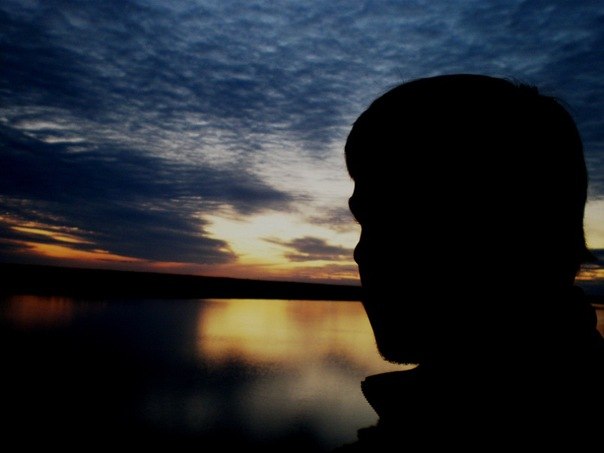 Артур Евсеев Wolfenstein | Зеленник