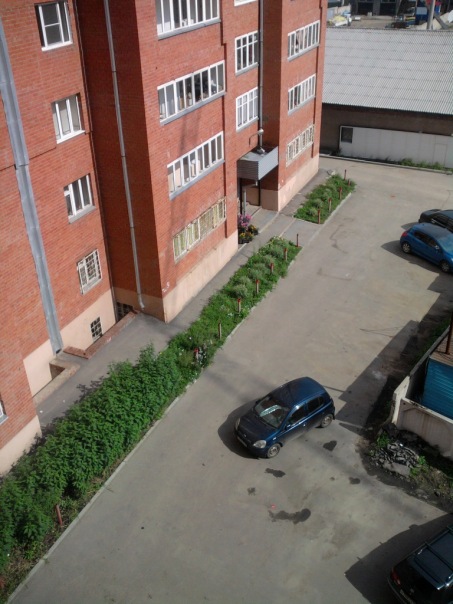 №6, Александр Турушев №6, Александр Турушев