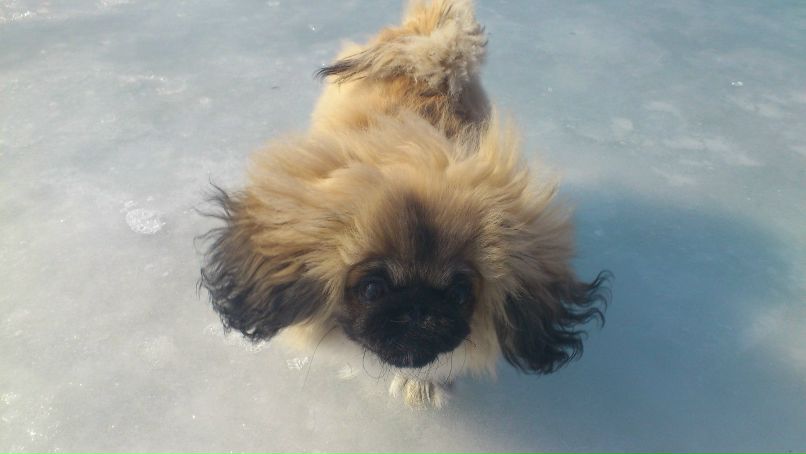 Александра Бутт | Новосибирск