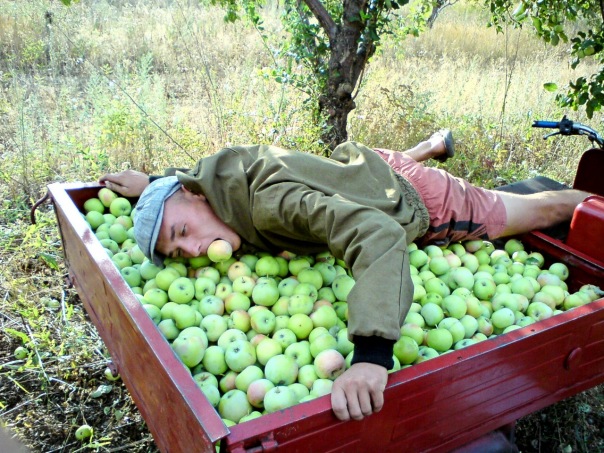 №4, Александр Перепелицын, Камышин, Россия №4, Александр Перепелицын, Камышин, Россия