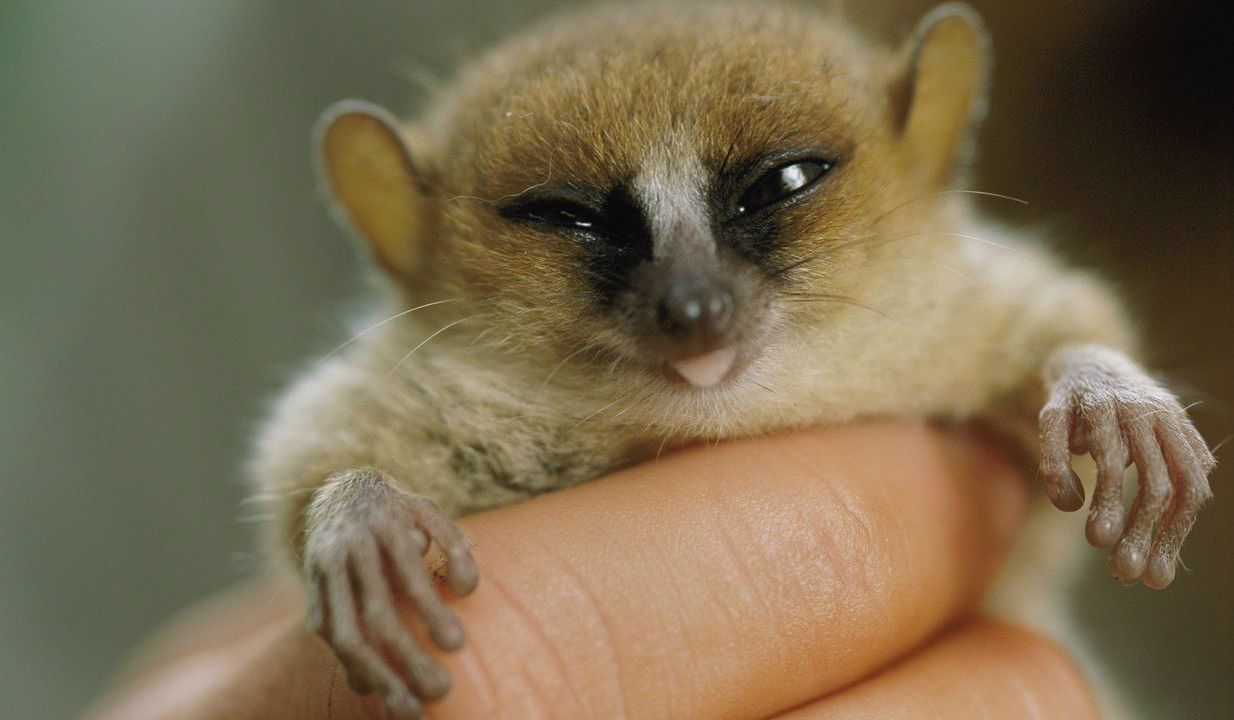 Катюша Ковалёва | 