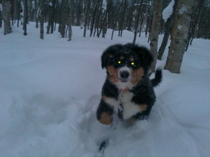 Ольга Чигарева | Апатиты