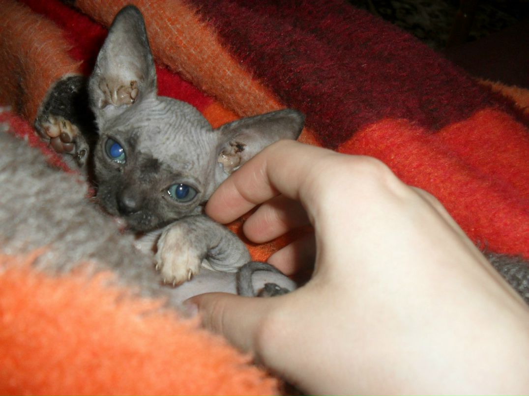 Кристина Сяба | Рязань