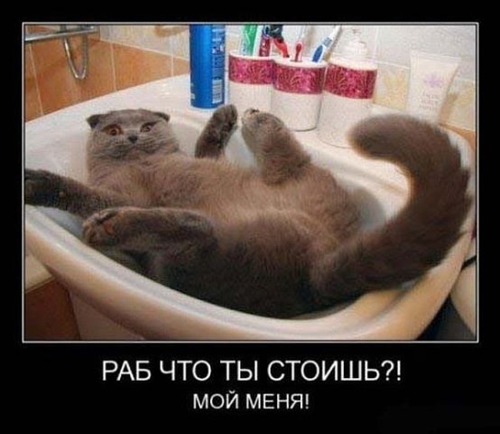 Евгения Стариннова ЗаЕнЬкА | Санкт-Петербург