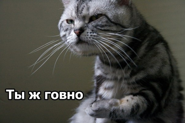 Алексей Краюхин ツ | Казань