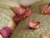 Любов Стефурак | Рожнов