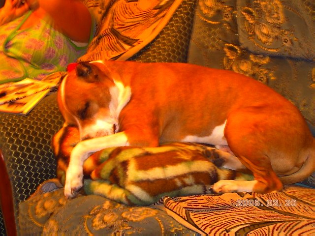 Наталья Коваленко | Киев