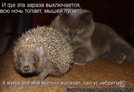 №51, Лёня Бондаренко, 32 года, Доманевка №51, Лёня Бондаренко, 32 года, Доманевка