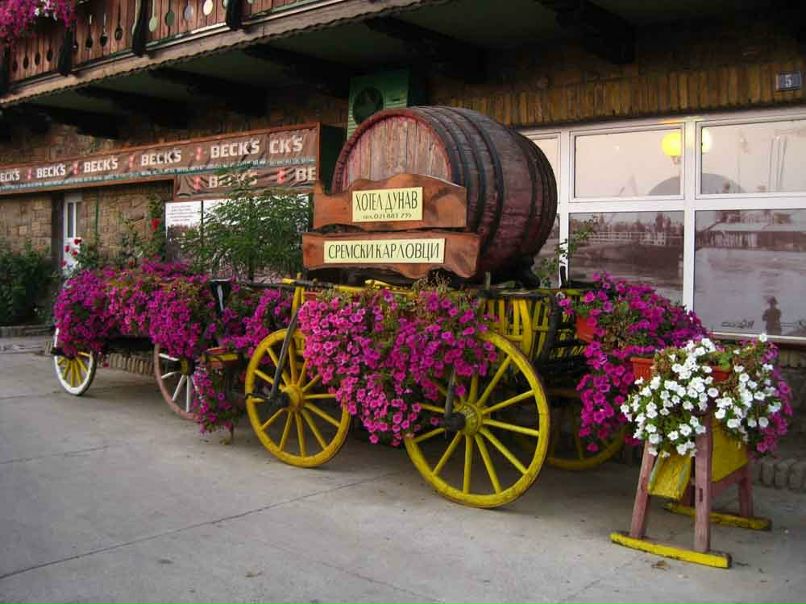 Уляна Цапек | Inđija