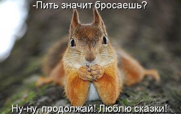 Максим Богдашкин | Вологда