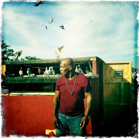 Алина Мельник | Киев