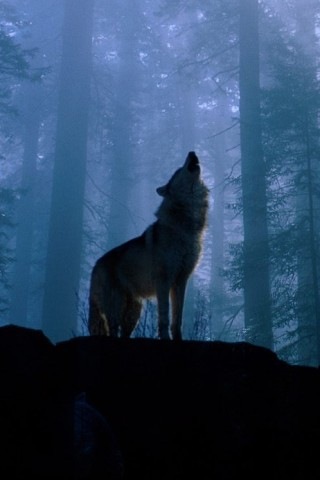 №79, Роман Семенов, 34 года, Москва №79, Роман Семенов, 34 года, Москва