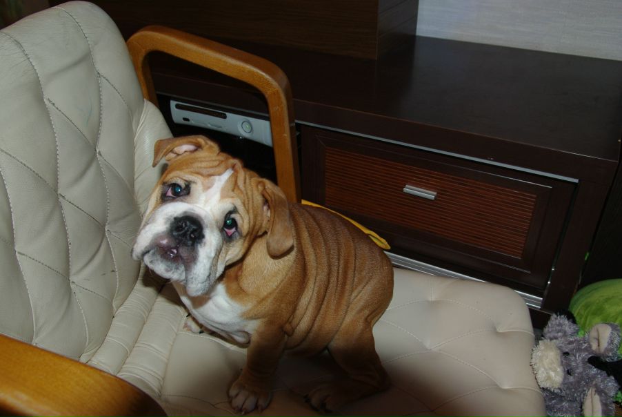 №50, Мария Кедрова, Москва №50, Мария Кедрова, Москва