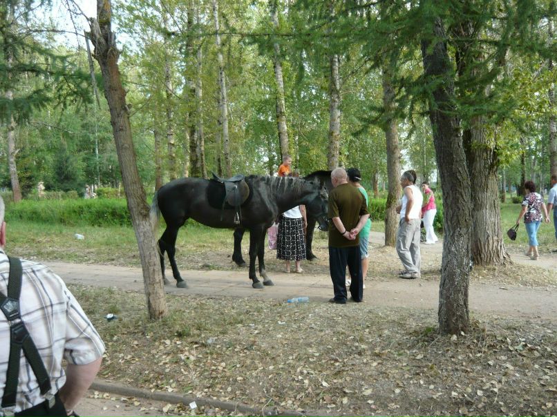 Timoshenkova Svetlana Викторовна | Бокситогорск