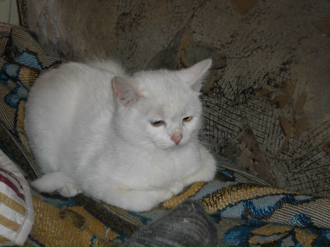 Алла Любовина | Петрозаводск