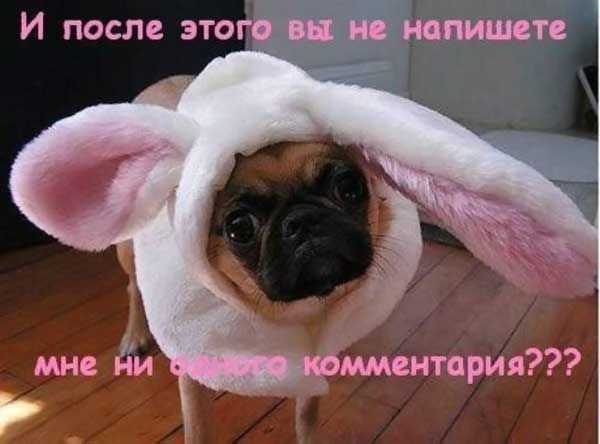 №98, Григорій Мотрюк №98, Григорій Мотрюк