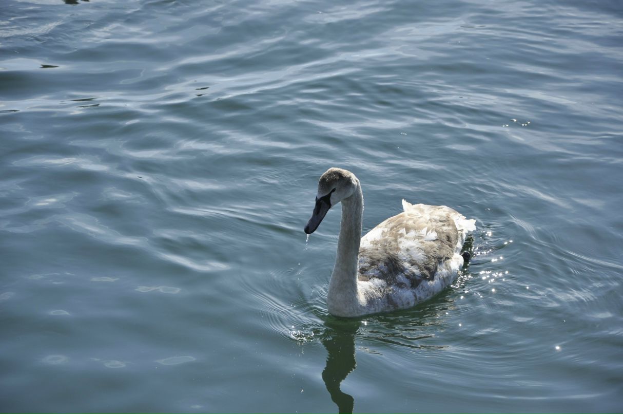 Серёга Алкин | Одесса