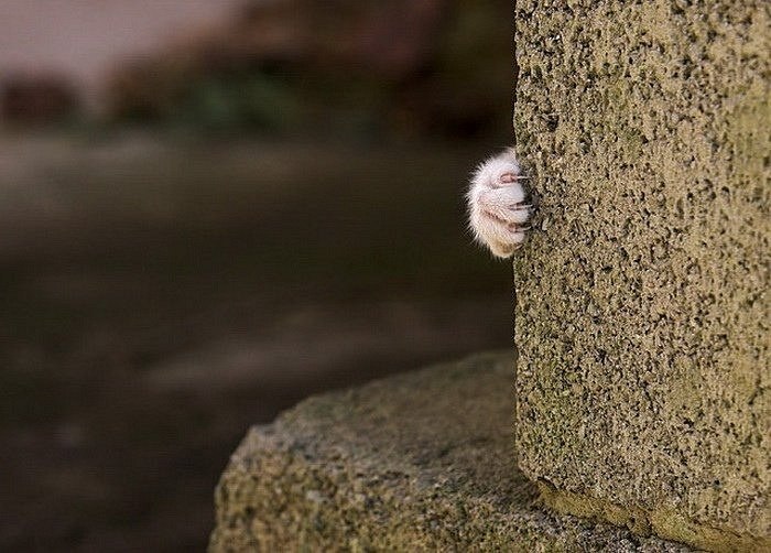 Евгения Попова | Екатеринбург