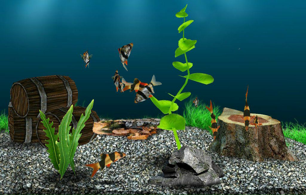 Виталий Семенов | Великий Новгород