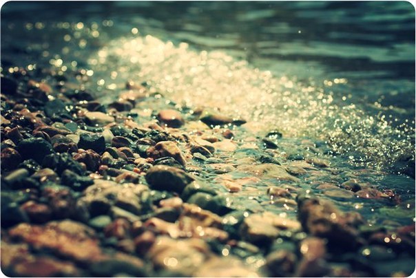 №30, Ольга Мечтаева, Рязань №30, Ольга Мечтаева, Рязань