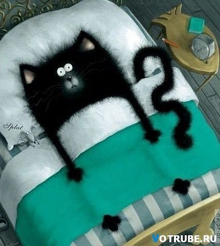 Елизавета Логачева | Курск