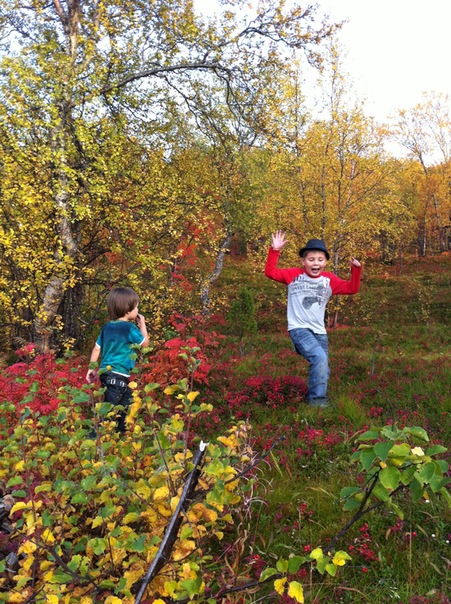 №86, Игорь Сиваков, Мурманск, Россия №86, Игорь Сиваков, Мурманск, Россия