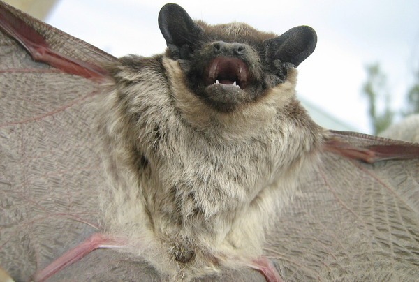 №3, Иван Иванов №3, Иван Иванов