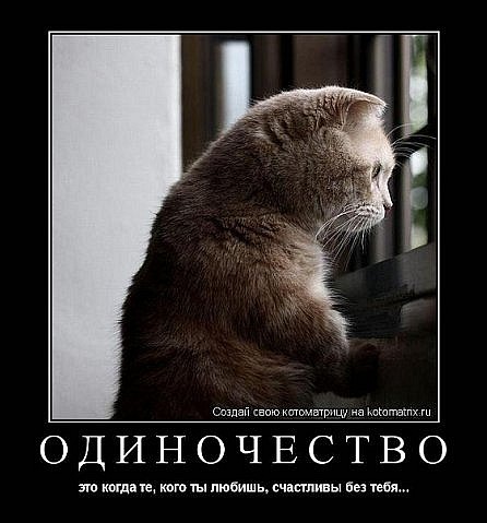 №31, Виктория Овчар №31, Виктория Овчар